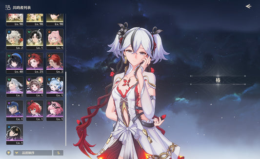 Wuthering Waves Multiple Character Restrictions Premium Account (Asia)