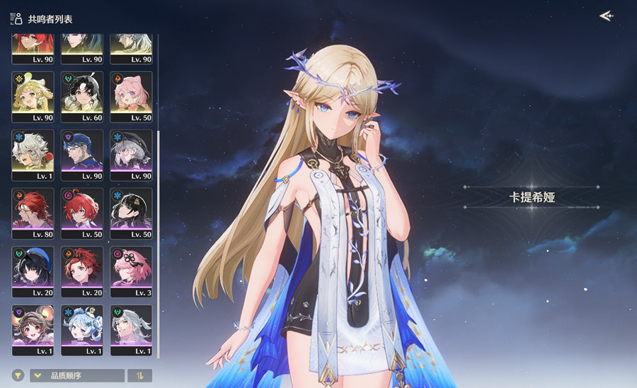Wuthering Waves Premium Account (Asia)