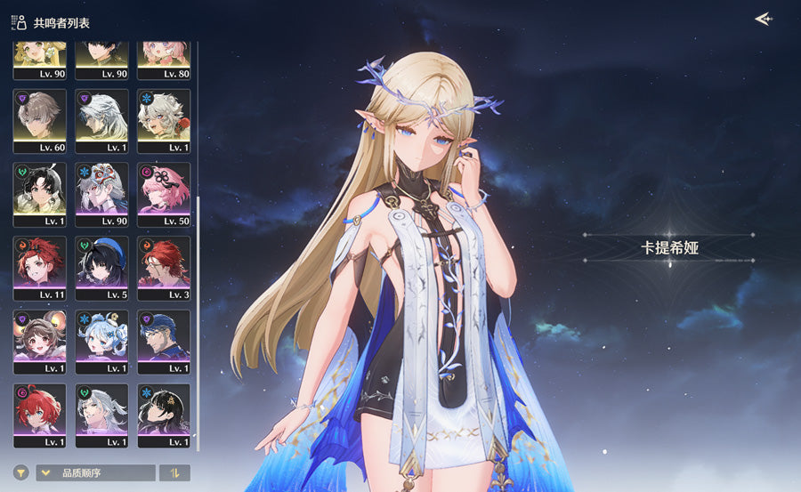 Wuthering Waves Premium Account (Asia)