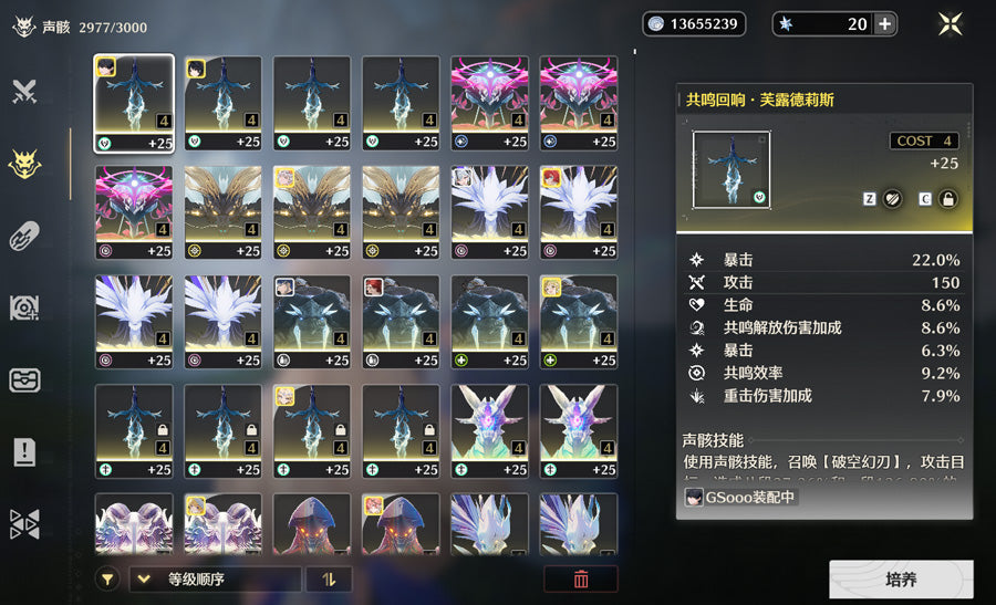 Wuthering Waves Premium Account (Asia)