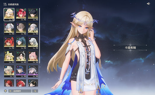 Wuthering Waves Premium Account (Asia)